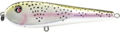 River2Sea ICBM 120 Hard Stickbait/Glidebait -Cheap Fishing Store 02RainbowTrout eadba6ed 8576 49bb ae99 7c2d8eb79b04