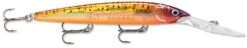 Rapala Down Deep Husky Jerk 12 Deep Diving Jerkbait -Cheap Fishing Store 12564582760503