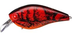 Lucky Craft LC 1.5 Deep Rattle Sound (DRS) Shallow Squarebill Crankbait -Cheap Fishing Store 12603022442551