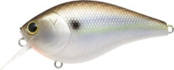 Lucky Craft LC 2.5 Shallow Squarebill Crankbait -Cheap Fishing Store 12607085903927