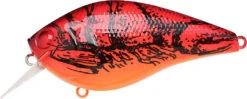 Lucky Craft LC 2.5 Shallow Squarebill Crankbait -Cheap Fishing Store 12607086100535