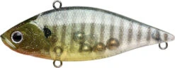 Lucky Craft LV-500 Max Lipless Crankbait -Cheap Fishing Store 12634230194231