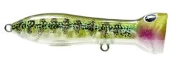 Nomad Design Chug Norris Freshwater/Inshore Popper -Cheap Fishing Store 12674578841655