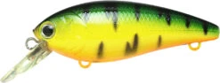 Lucky Craft Moonsault CB-100 Shallow Diving Crankbait -Cheap Fishing Store 13025143128119