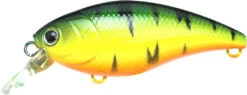 Lucky Craft Moonsault CB-50 Waking Crankbait -Cheap Fishing Store 13025150730295