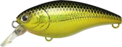 Lucky Craft Moonsault CB-50 Waking Crankbait -Cheap Fishing Store 13025150763063