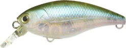 Lucky Craft Moonsault CB-50 Waking Crankbait -Cheap Fishing Store 13025150959671