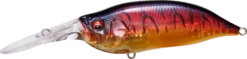 Megabass IXI Shad Type 3 Medium Diving Crankbait 14 Megabass IXI Shad Type 3 Medium Diving Crankbait -Cheap Fishing Store 14366628249655