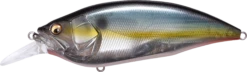 Megabass Big-M 4.0 Magnum Deep Diving Crankbait 14 Megabass Big-M 4.0 Magnum Deep Diving Crankbait -Cheap Fishing Store 14412821102647