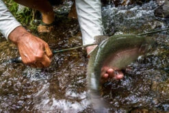 Temple Fork Outfitters Trout-Panfish Spinning Rods 20 Temple Fork Outfitters Trout-Panfish Spinning Rods -Cheap Fishing Store 21122588 1612726152092001 5893757740725659703 o