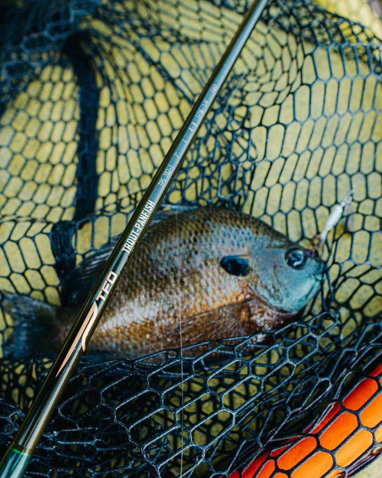 Temple Fork Outfitters Trout-Panfish Spinning Rods 13 Temple Fork Outfitters Trout-Panfish Spinning Rods - Image 13