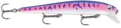Storm ThunderStick MadFlash 4 3/8 Inch Jerkbait/Trolling Minnow 24 Storm ThunderStick MadFlash 4 3/8 Inch Jerkbait/Trolling Minnow -Cheap Fishing Store 31314683461721