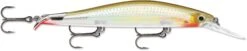 Rapala RipStop Deep 12 Jerkbait -Cheap Fishing Store 31321038356569