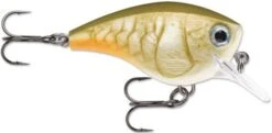 Rapala BX Big Brat 2 3/4 Inch Square Bill Crankbait -Cheap Fishing Store 31321538396249