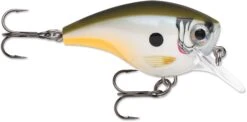 Rapala BX Big Brat 2 3/4 Inch Square Bill Crankbait -Cheap Fishing Store 31321538461785