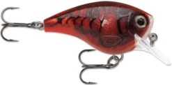 Rapala BX Big Brat 2 3/4 Inch Square Bill Crankbait -Cheap Fishing Store 31321538527321