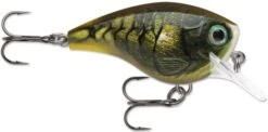 Rapala BX Big Brat 2 3/4 Inch Square Bill Crankbait -Cheap Fishing Store 31321538658393