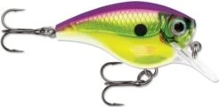 Rapala BX Big Brat 2 3/4 Inch Square Bill Crankbait -Cheap Fishing Store 31321538723929