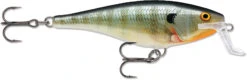 Rapala Super Shad Rap 5 1/2 Inch Crankbait -Cheap Fishing Store 31321620545625