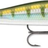 Rapala RipStop 09 Jerkbait