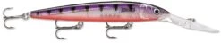Rapala Down Deep Husky Jerk 14 Deep Diving Jerkbait 29 Rapala Down Deep Husky Jerk 14 Deep Diving Jerkbait -Cheap Fishing Store 31332608540761