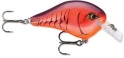 Rapala DT Fat 03 Shallow Square Bill Crankbait -Cheap Fishing Store 31333941149785
