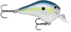 Rapala DT Fat 03 Shallow Square Bill Crankbait -Cheap Fishing Store 31333941182553