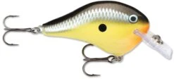 Rapala DT Fat 03 Shallow Square Bill Crankbait -Cheap Fishing Store 31333941280857