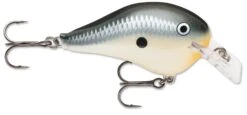 Rapala DT Fat 03 Shallow Square Bill Crankbait -Cheap Fishing Store 31333941313625