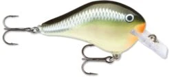 Rapala DT Fat 03 Shallow Square Bill Crankbait -Cheap Fishing Store 31333941379161