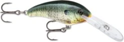 Rapala Shad Dancer SDD07 Deep Diving Crankbait 26 Rapala Shad Dancer SDD07 Deep Diving Crankbait -Cheap Fishing Store 31340105007193