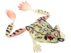 Chasebaits Bobbin' Frog Hollow Body Frog 17 Chasebaits Bobbin' Frog Hollow Body Frog -Cheap Fishing Store 31437111787609