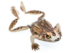 Chasebaits Bobbin' Frog Hollow Body Frog 18 Chasebaits Bobbin' Frog Hollow Body Frog -Cheap Fishing Store 31437111820377