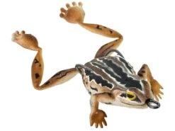 Chasebaits Bobbin' Frog Hollow Body Frog 20 Chasebaits Bobbin' Frog Hollow Body Frog -Cheap Fishing Store 31437111885913