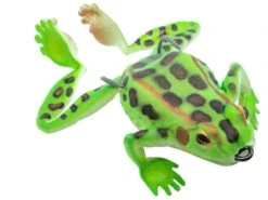 Chasebaits Bobbin' Frog Hollow Body Frog 23 Chasebaits Bobbin' Frog Hollow Body Frog -Cheap Fishing Store 31437112016985