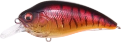 Megabass Super-Z Z-1 Medium Diving Crankbait -Cheap Fishing Store 31680779092057