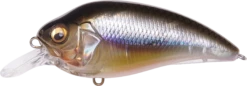 Megabass Super-Z Z-1 Medium Diving Crankbait -Cheap Fishing Store 31680779124825