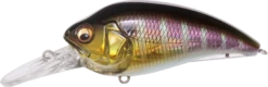 Megabass Super-Z Z-2 Deep Diving Crankbait -Cheap Fishing Store 31680796033113