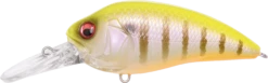 Megabass Super-Z Z-2 Deep Diving Crankbait -Cheap Fishing Store 31680796295257