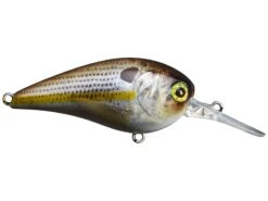 Jackall MC60 MR Medium Diving Crankbait 13 Jackall MC60 MR Medium Diving Crankbait -Cheap Fishing Store 32150471704665