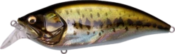 Megabass Big-M 2.0 Magnum Medium Diving Crankbait -Cheap Fishing Store 32195136913497