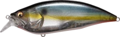 Megabass Big-M 2.0 Magnum Medium Diving Crankbait -Cheap Fishing Store 32195137044569