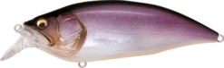 Megabass Big-M 2.0 Magnum Medium Diving Crankbait -Cheap Fishing Store 32195137077337