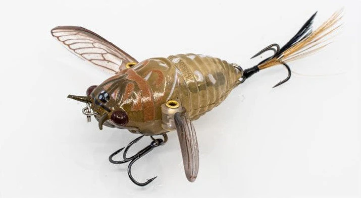 Chasebaits Ripple Cicada 1 3/4 Inch Wakebait Crawler 2 Chasebaits Ripple Cicada 1 3/4 Inch Wakebait Crawler - Image 2