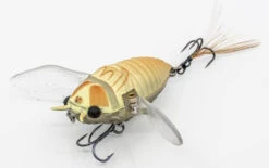 Chasebaits Ripple Cicada 1 3/4 Inch Wakebait Crawler 9 Chasebaits Ripple Cicada 1 3/4 Inch Wakebait Crawler -Cheap Fishing Store 32233146843225