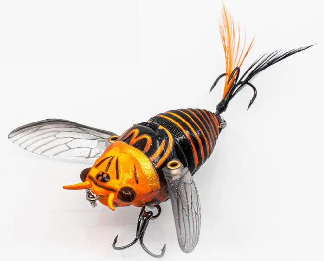 Chasebaits Ripple Cicada 1 3/4 Inch Wakebait Crawler 5 Chasebaits Ripple Cicada 1 3/4 Inch Wakebait Crawler - Image 5