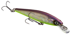 Strike King KVD 100 Series Suspending Shallow Jerkbait -Cheap Fishing Store 32272586309721