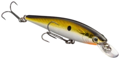 Strike King KVD 100 Series Suspending Shallow Jerkbait -Cheap Fishing Store 32272586539097