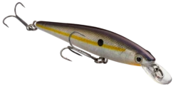 Strike King KVD 100 Series Suspending Shallow Jerkbait -Cheap Fishing Store 32272586604633