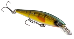 Strike King KVD 100 Series Suspending Shallow Jerkbait -Cheap Fishing Store 32272586637401